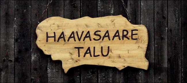 Haavasaare